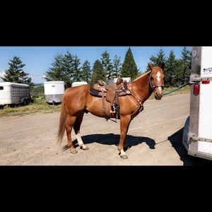 Meet your Posher, Brittney